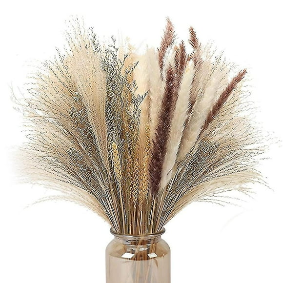70 Pcs Natural Pampas Grass Decor, 17inch Dried Pampas Grass Decor- 5 Color Pompous Pampas Grass Pl