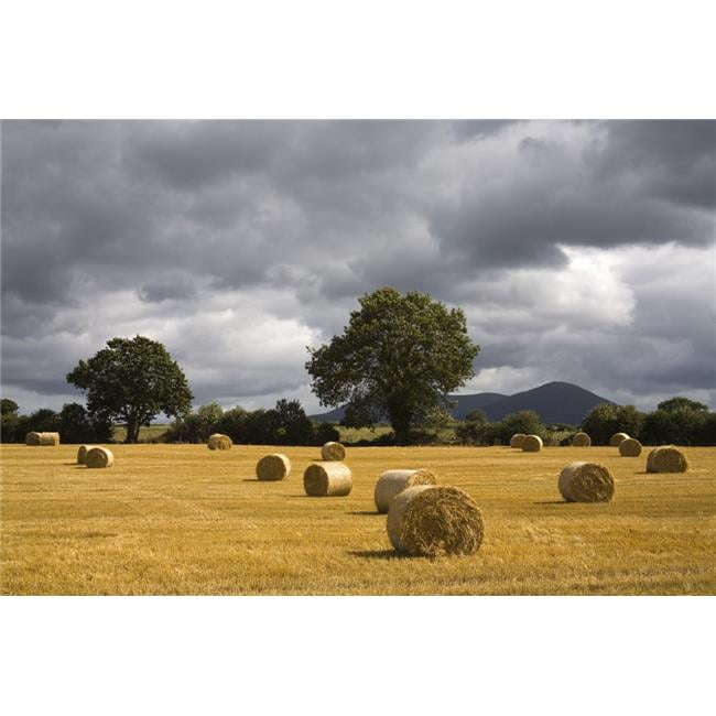 Clogheen County Tipperary Ireland Hay Bales In Field Poster