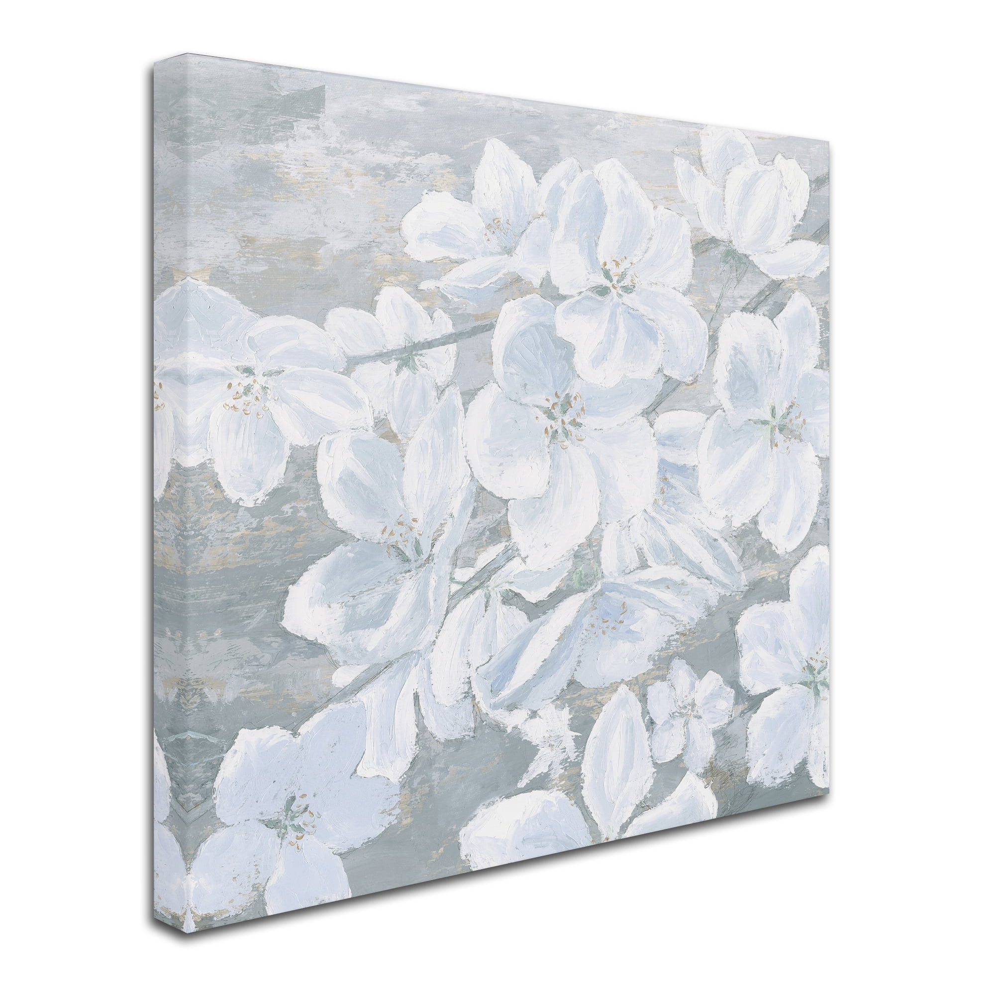 Trademark Fine Art 'Grand Array I Crop' Canvas Art by James Wiens