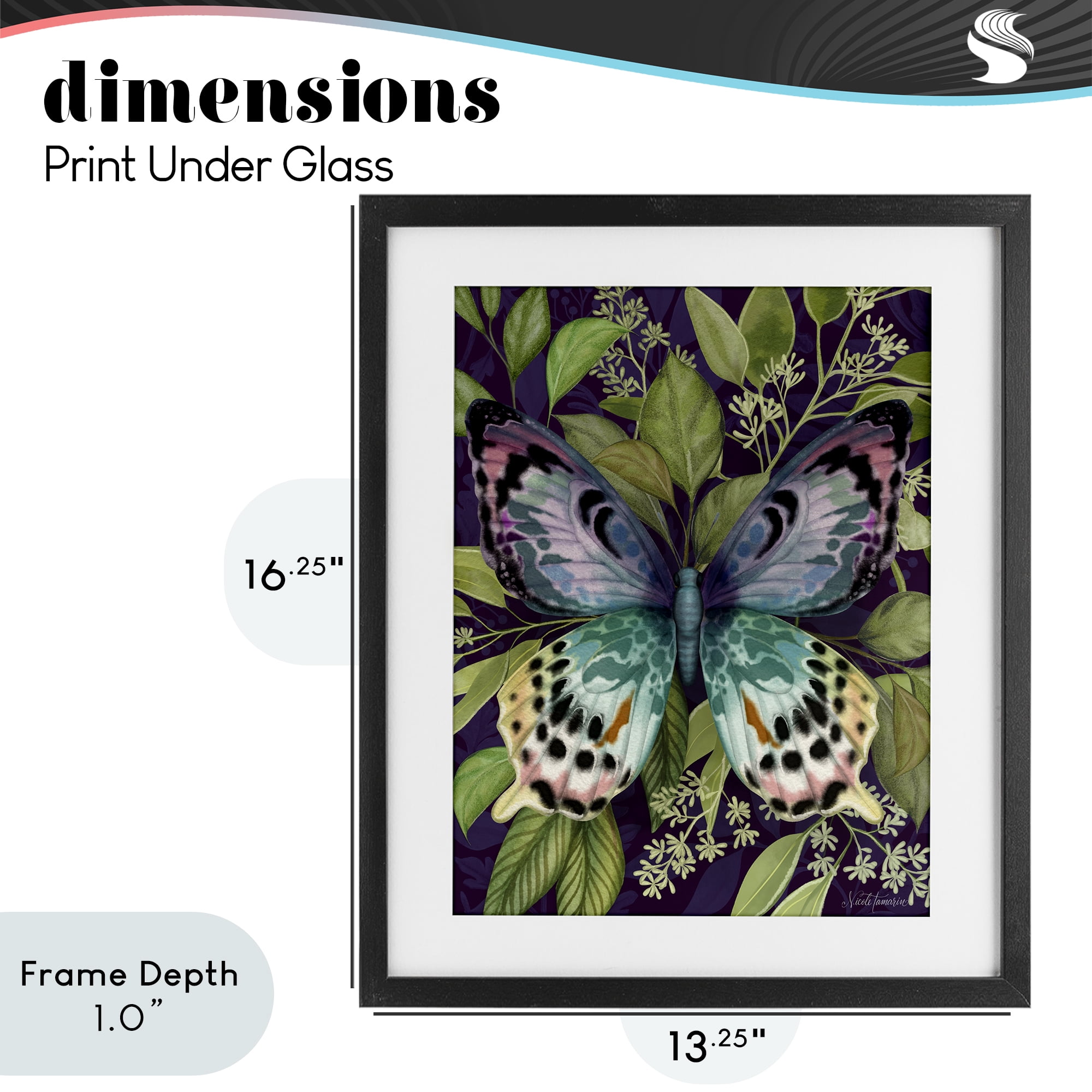Stupell Industries Midnight Garden Butterfly Black Framed Print Under Glass, design by Nicole Tamarin