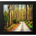 thumbnail image 2 of Amos, Andy 16x15 Black Modern Framed Museum Art Print Titled - Wood Path, 2 of 5