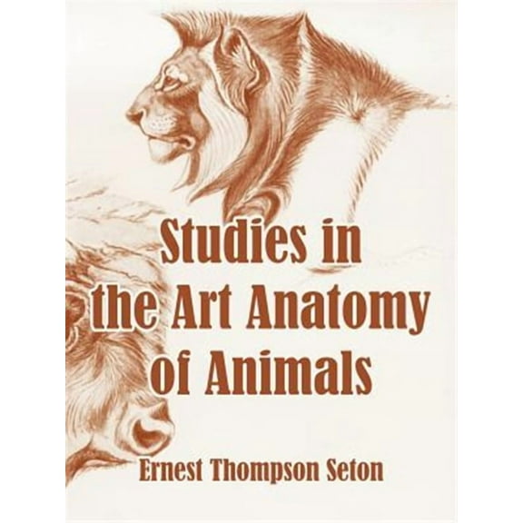 Studies in the Art Anatomy of Animals (Paperback)