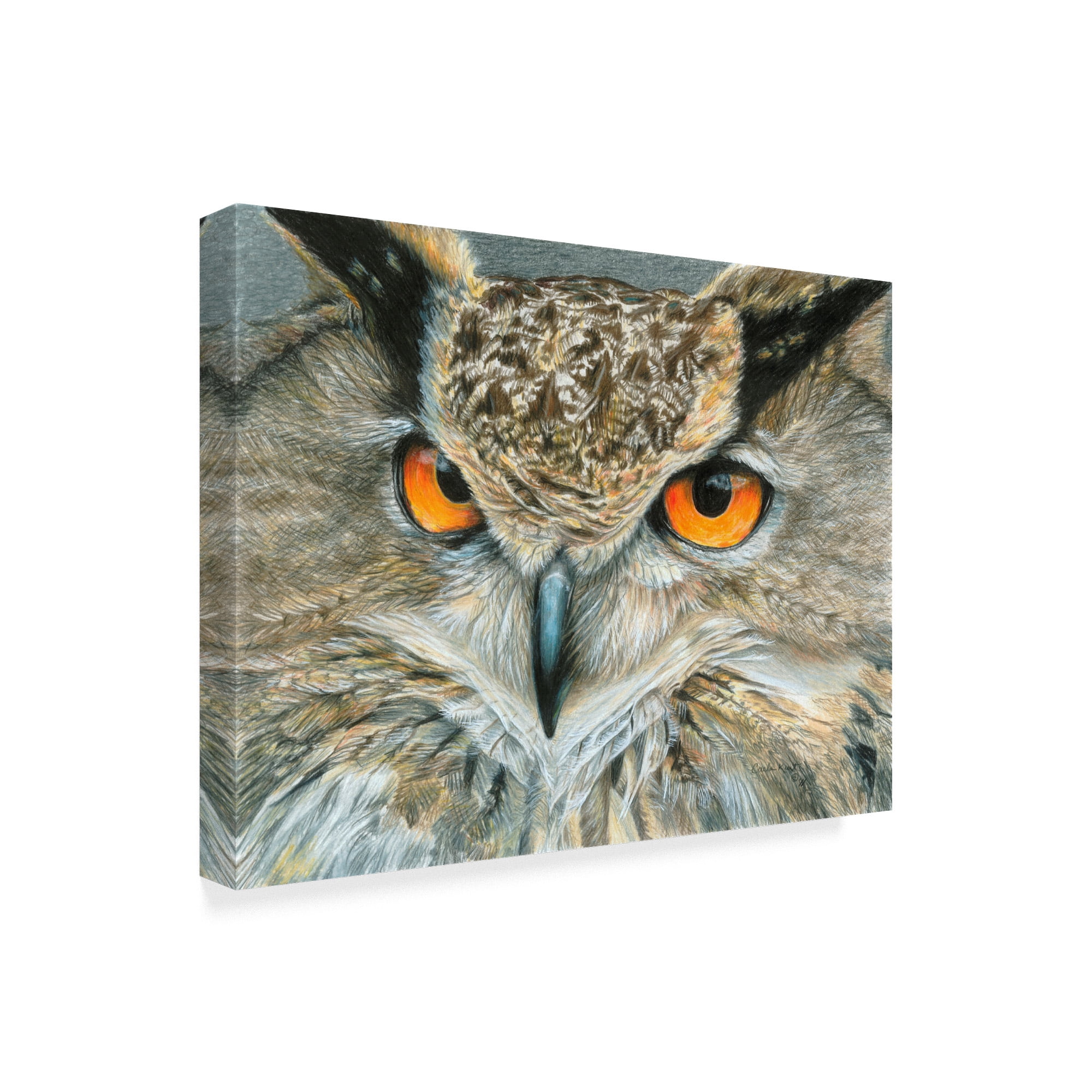 Trademark Fine Art 'Orange Eyed Owl' Canvas Art by Carla Kurt