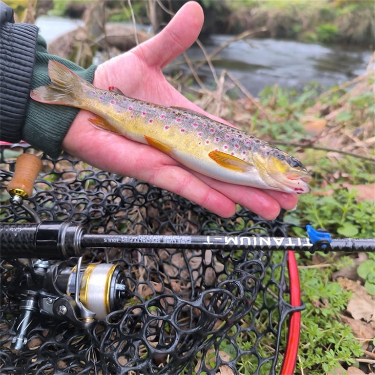 PURELURE TITANIUM-T XUL BFS Rod 0.5-6g Bait Weight 5FT 6FT Perch