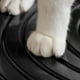 thumbnail image 4 of Bandeja de Arena para Gatos IRIS USA Blanco Negro Entrada Superior con Pala y Diseño Curvo, 4 of 7