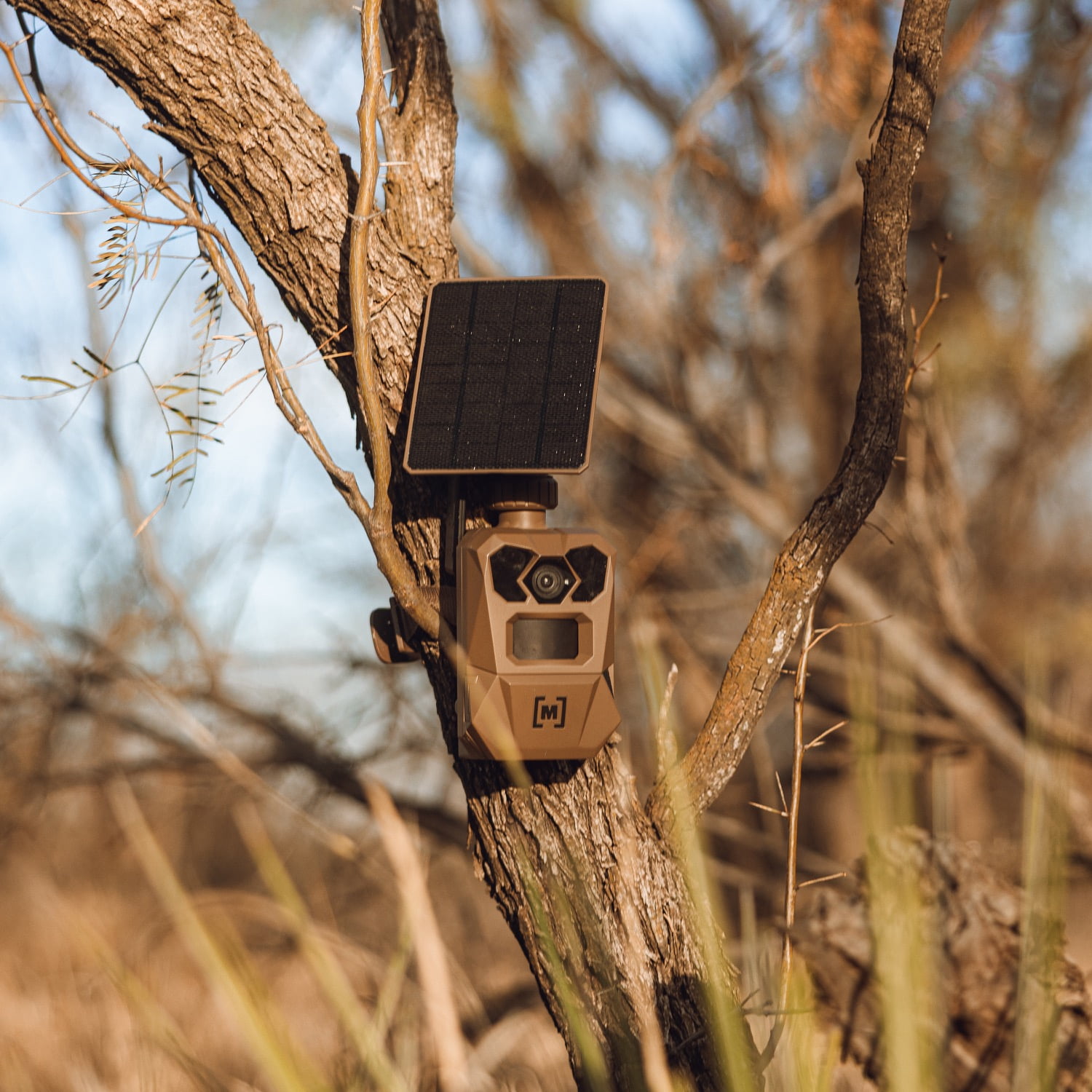 Moultrie EDGE 4 Solar Cellular Trail Camera