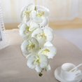thumbnail image 1 of Artificial Phalaenopsis Orchid Silk Real Touch Flower White Artificial Flower Wedding Flower Orchid For Christmas Party Wedding, 1 of 5