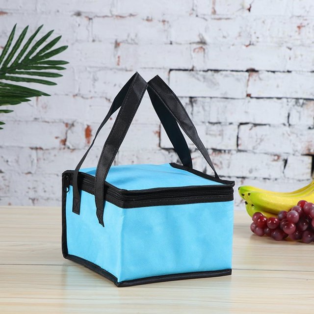 Bolsa de aislamiento portátil para llevar, bolsa de aluminio con cremallera para conservación en el frigorífico, bolsa aislante para leche, té y tartas