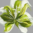 thumbnail image 2 of Scaffardi, Sally 12x12 White Modern Wood Framed Museum Art Print Titled - Spring Greens II, 2 of 4