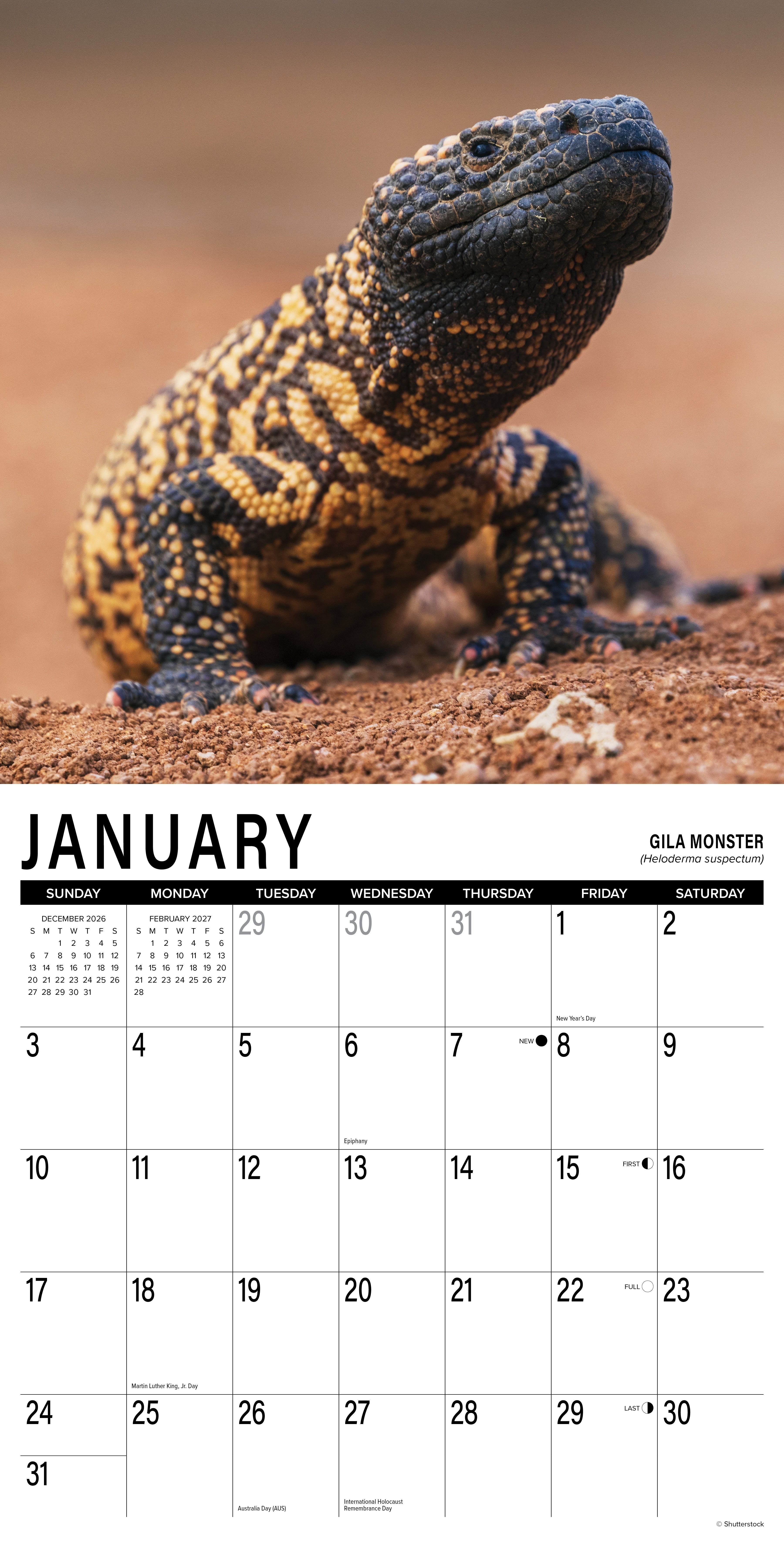 Willow Creek Press, Scales 2027 Wall Calendar