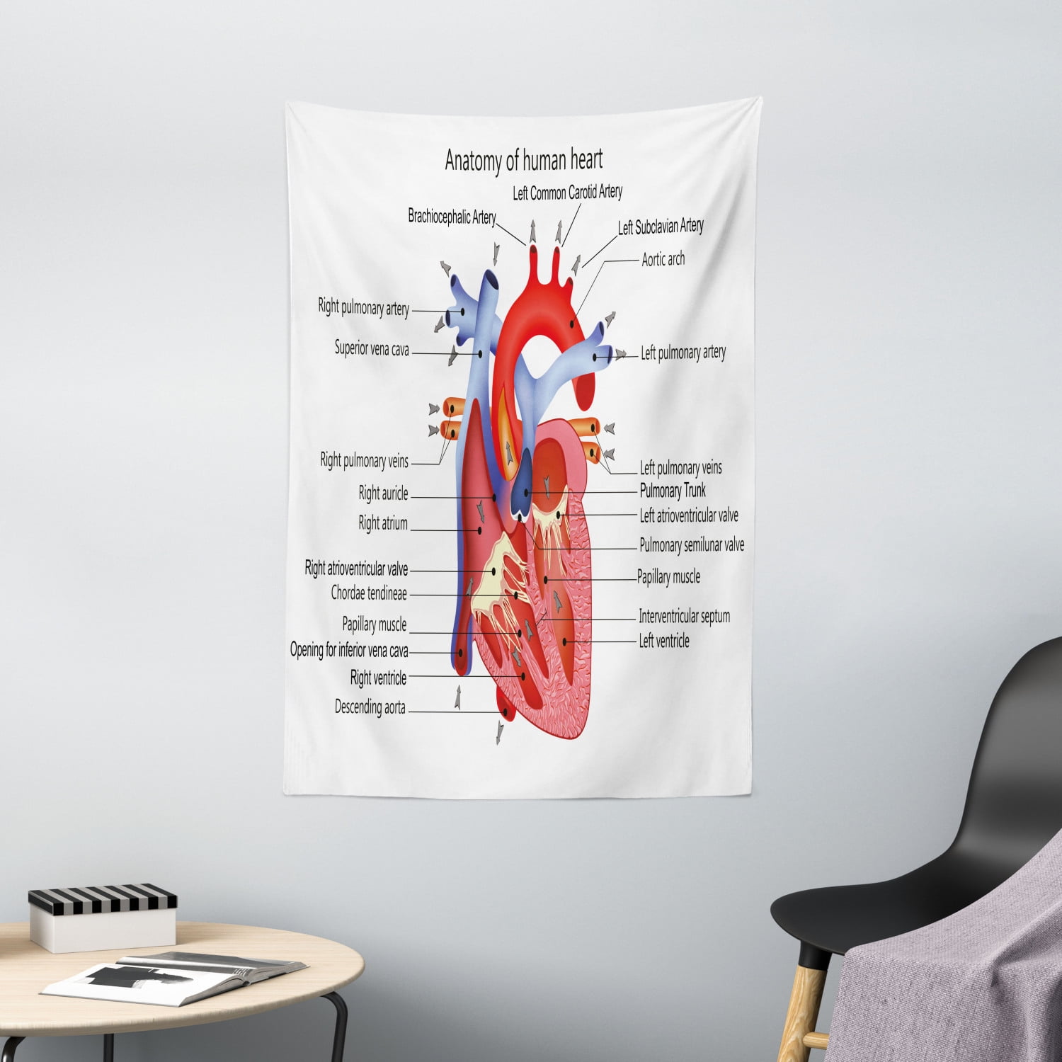 Educational Tapestry, Medical Structure of the Hearts Human Body
