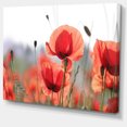 thumbnail image 2 of Soft Poppy Flowers Petals View - Floral Canvas Art Print, 2 of 3
