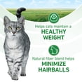 thumbnail image 5 of Purina ONE Plus Indoor Advantage Salmon Flavor Dry Cat Food, 3.5 lb., 5 of 14