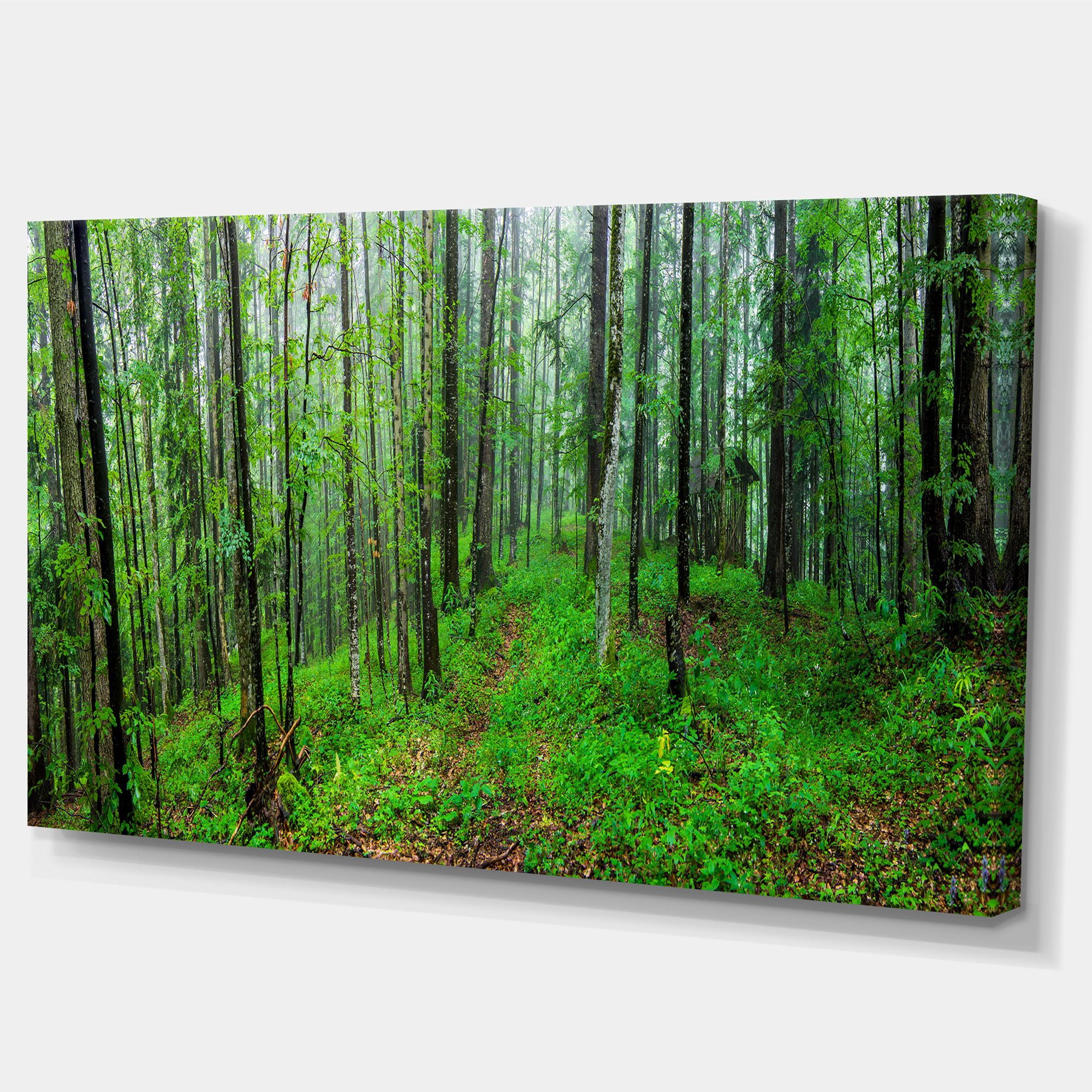 Designart 'Green Wild Forest with Dense Trees ' Forest Canvas Art Print