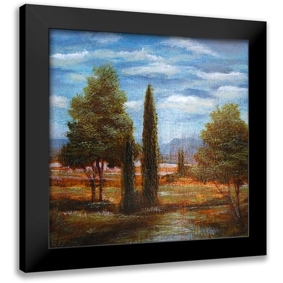Holsinger, Joel 12x12 Black Modern Framed Museum Art Print Titled - Woodland Acres 1