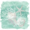 thumbnail image 2 of Vess, June Erica 12x12 White Modern Wood Framed Museum Art Print Titled - Weathered Shell Assortment I, 2 of 4