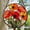 California Poppy Forest, variant on Ornament Window Hanging - Red Rose Flower Suncatcher for Door Garden Home Retro Sun Catchers Decoration Christmas Mother's Day Birthday Gifts for Women Men Mom Nana Friend, 2025,