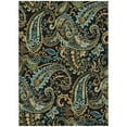 thumbnail image 2 of Addison Rugs Chantille Indoor/Outdoor Transitional Paisley Black Washable Rectangle Rug, 10' x 14', 2 of 6