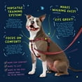thumbnail image 4 of 2 Hounds Design Freedom Arnés para perro sin tirones con correa, verde Kelly, grande (1"), 4 of 5