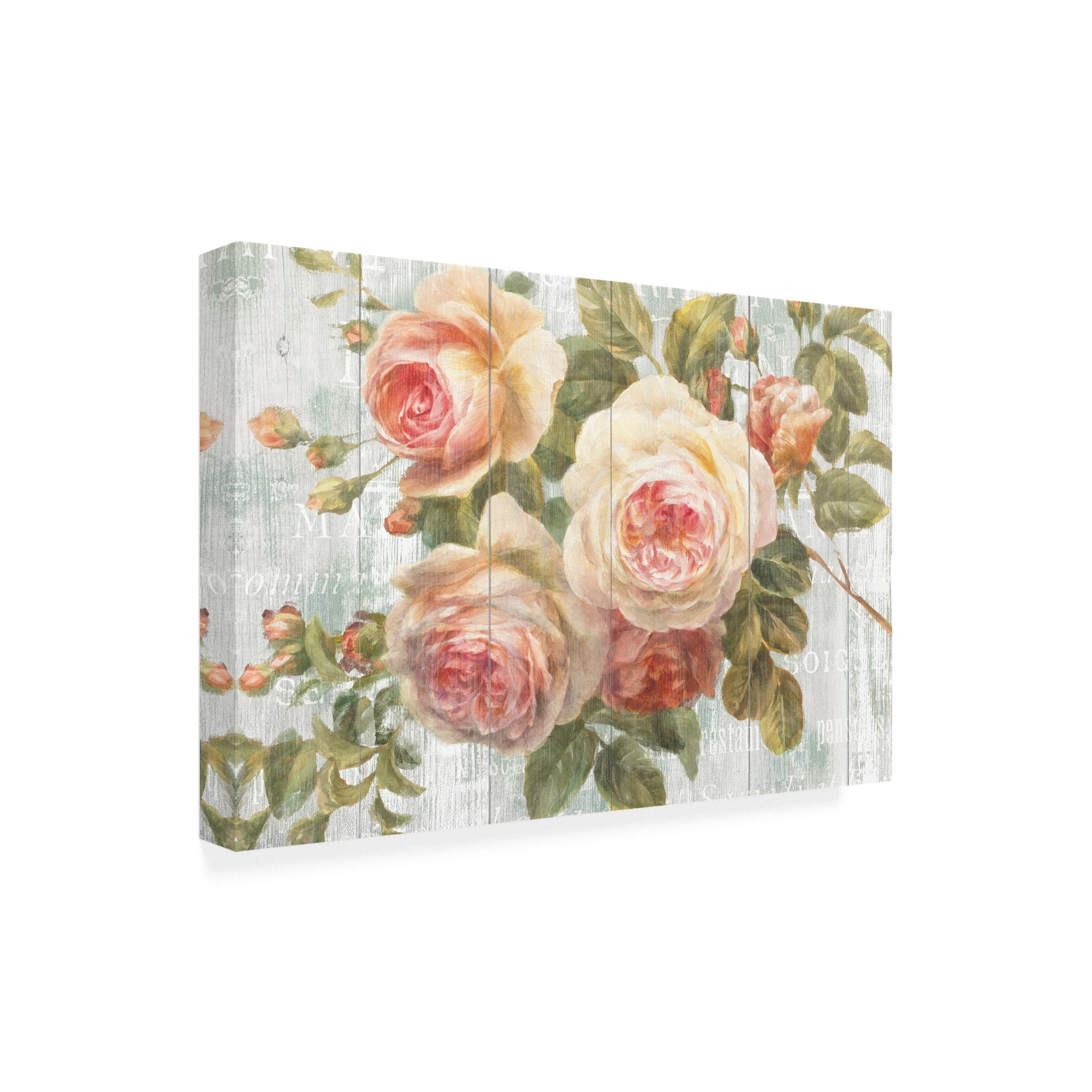 Trademark Fine Art 'Vintage Roses on Driftwood' Canvas Art by Danhui Nai