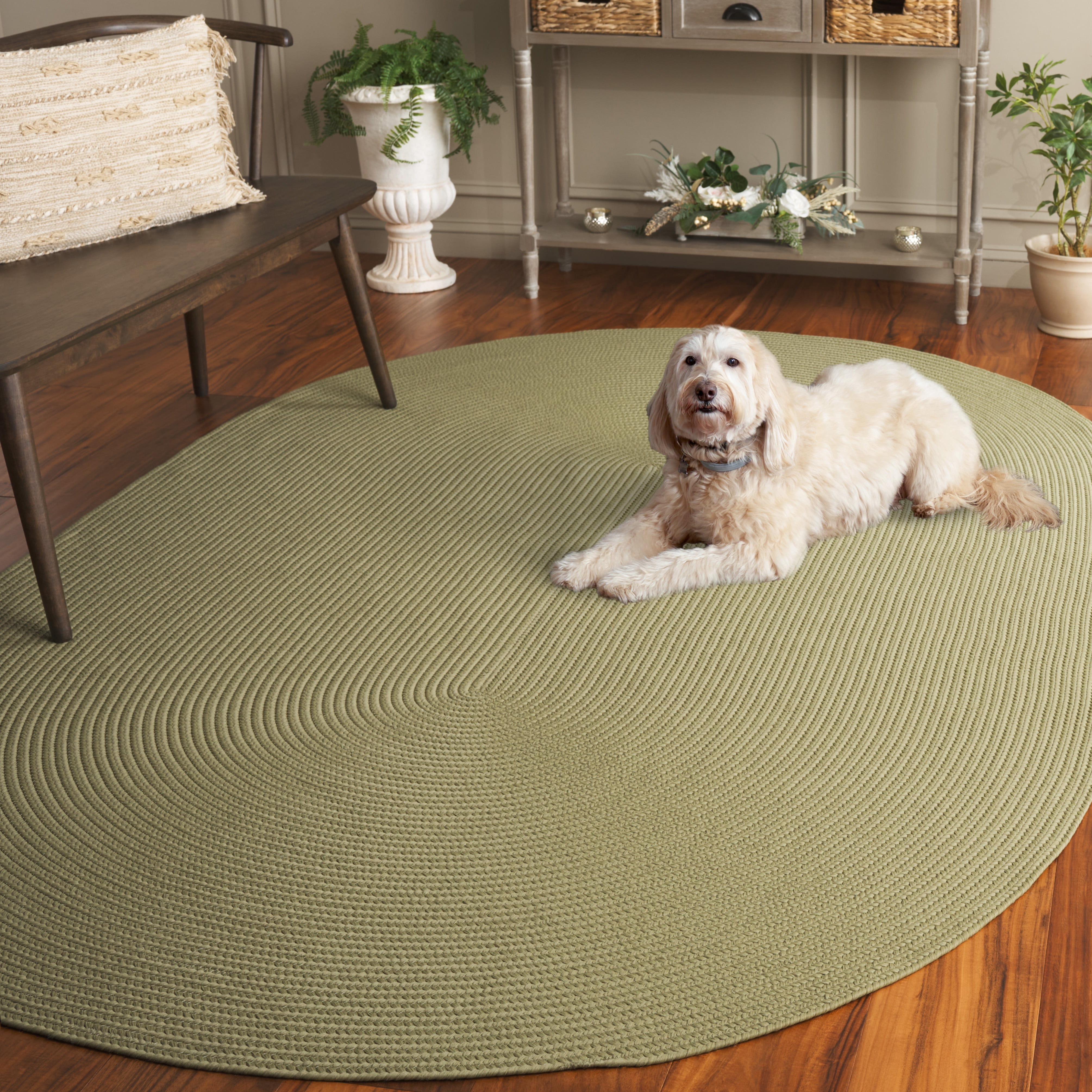 SAFAVIEH Braided Rishika Solid Machine Washable Reversible Area Rug, Sage, 6' x 9' Oval