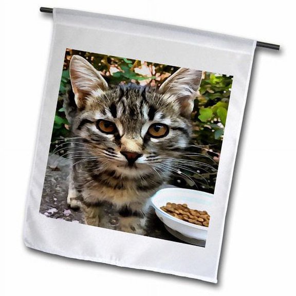 3dRose, Tabby Cat Kitten Making Eye Contact, 12 x 18 inch Garden Flag
