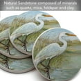 thumbnail image 3 of Thirstystone Coastal Egret Round Natural Sandstone Coaster 4-Pack, 3 of 6