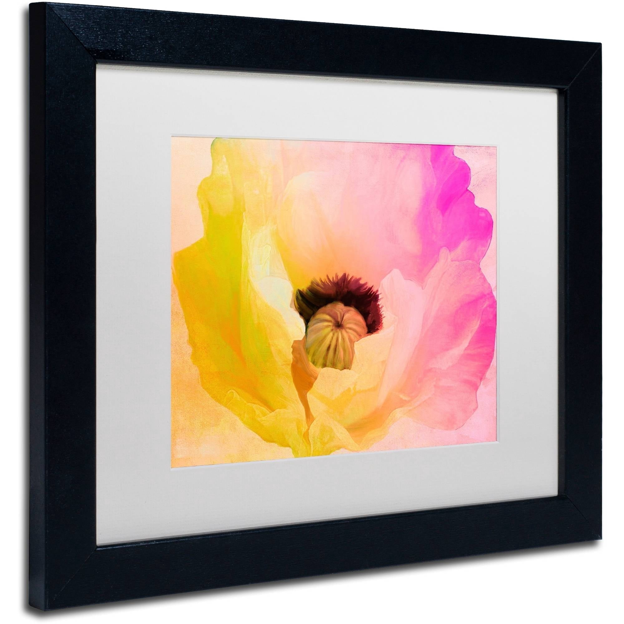 Trademark Fine Art "Poppy Gradient II" Canvas Art by Color Bakery White Matte, Black Frame