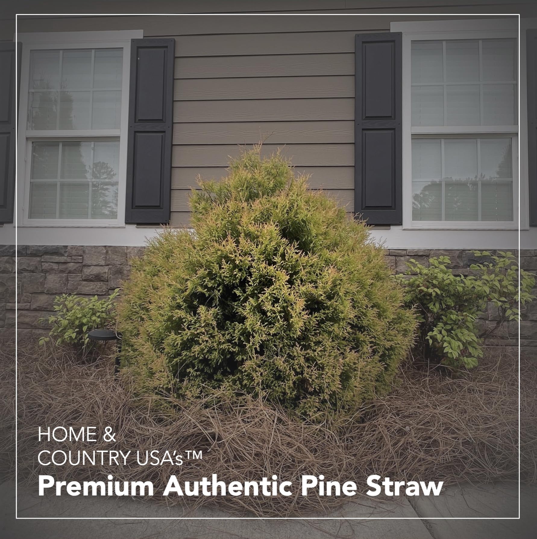 Home and Country USA Premium 4 Pound Pine Straw Mulch for Landscaping, Organic Material Made from Authentic Pine Needles Ideal for Gardening, Soil Moisture Retention.