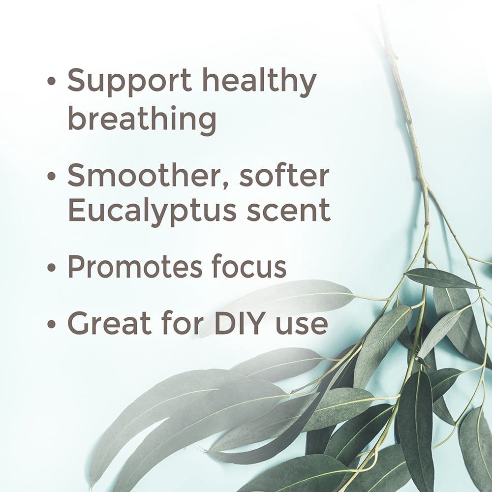 Plant Therapy Eucalyptus Radiata Essential Oil 10 mL (1/3 oz) 100% Pure