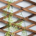 thumbnail image 5 of Enrejado extensible de madera para colgar para plantas trepadoras - Decoración de pared para terraza y jardín, 5 of 5
