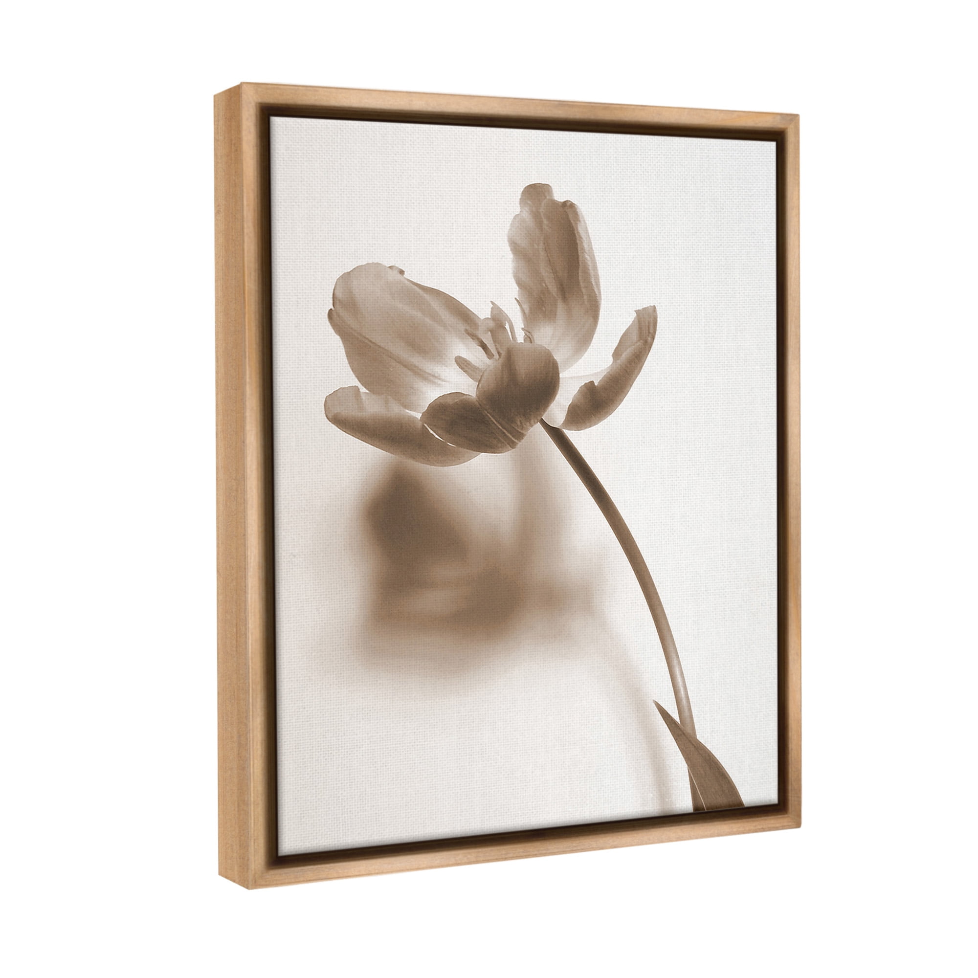 Stupell Industries Minimal Tulip Stem Botanical & Floral Photography Brown Floater Framed Canvas Art Print Wall Art, 17 x 21