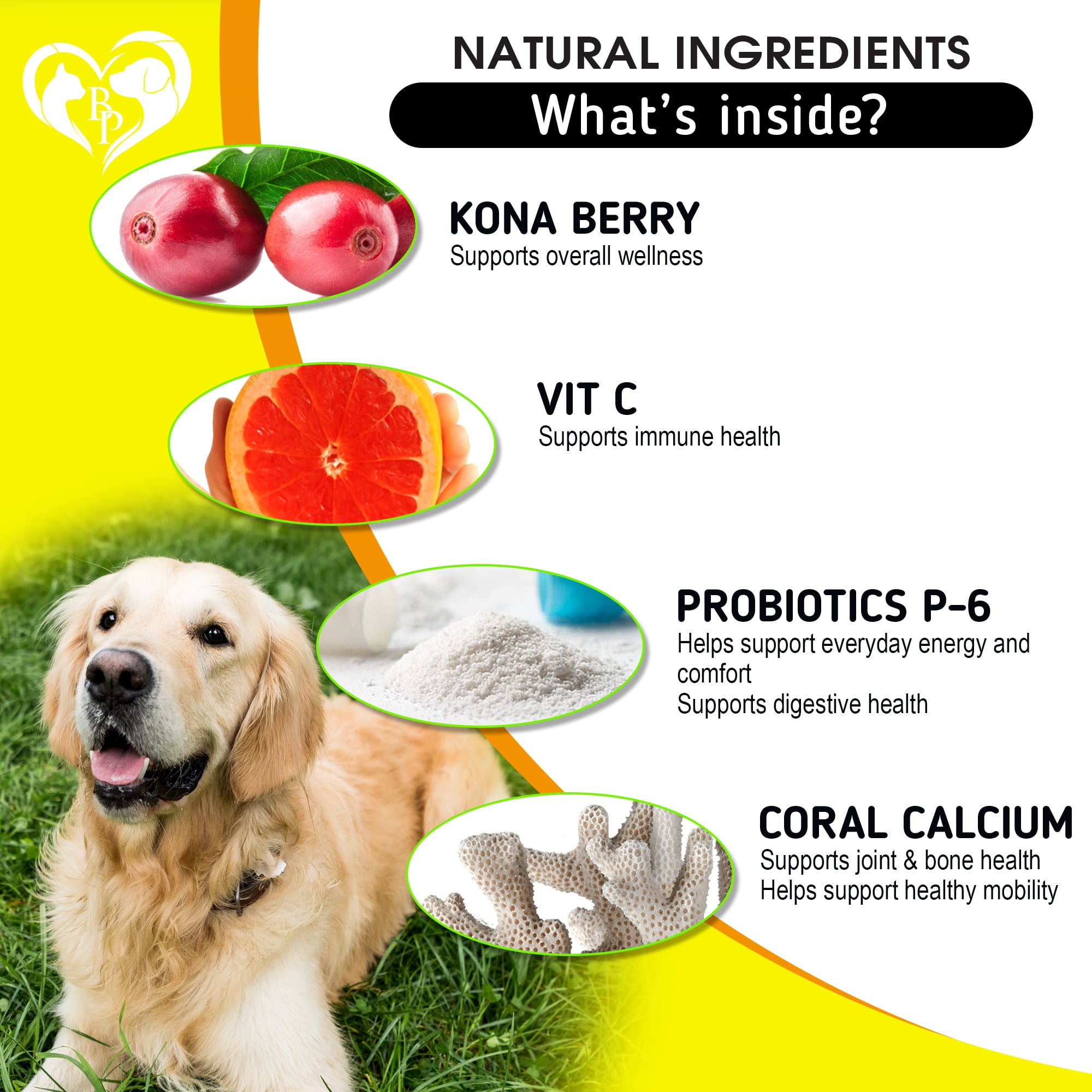 Dog Itch & Seasonal Allergy Support Chews – For Dry Itchy Skin & Hot Spots with Probiotic & Omega-3 Oil – Immune & Skin Health Supplement for Dogs and Puppies