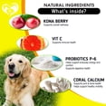 thumbnail image 6 of Dog Itch & Seasonal Allergy Support Chews – For Dry Itchy Skin & Hot Spots with Probiotic & Omega-3 Oil – Immune & Skin Health Supplement for Dogs and Puppies, 6 of 8
