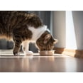 thumbnail image 6 of Fancy Feast Cat Food 3 Flavor Variety (2) Each: Ocean Whitefish in Gravy, Chopped Grill, Tender Beef | MerlinsMart Zine & Percy Loves Pal Furresher, 6 of 8