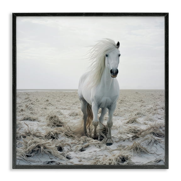 Stupell Industries Windswept Beach Horse Animals Photography Black Framed Art Print Wall Art, 12 x 12