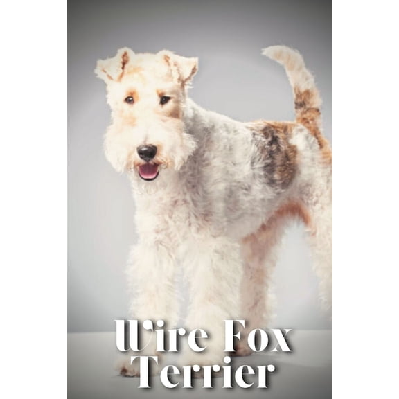 Wire Fox Terrier: Dog breed overview and guide, (Paperback)