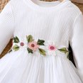 thumbnail image 6 of Utlike Girls Dresses Long Sleeve Embroider Ribbed Princess Dress Cozy Sundress For Girl Size 18 Months-24 Months, 6 of 6