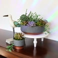 thumbnail image 6 of The HC Companies Capri Bowl Succulent Pot, Faux Concrete Copper (10 Pack), 6 of 7