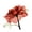Unframed, variant on Art.com Ruby Rose 1 Stretched Canvas Print Wall Art by Albert Koetsier, 30" x 30"