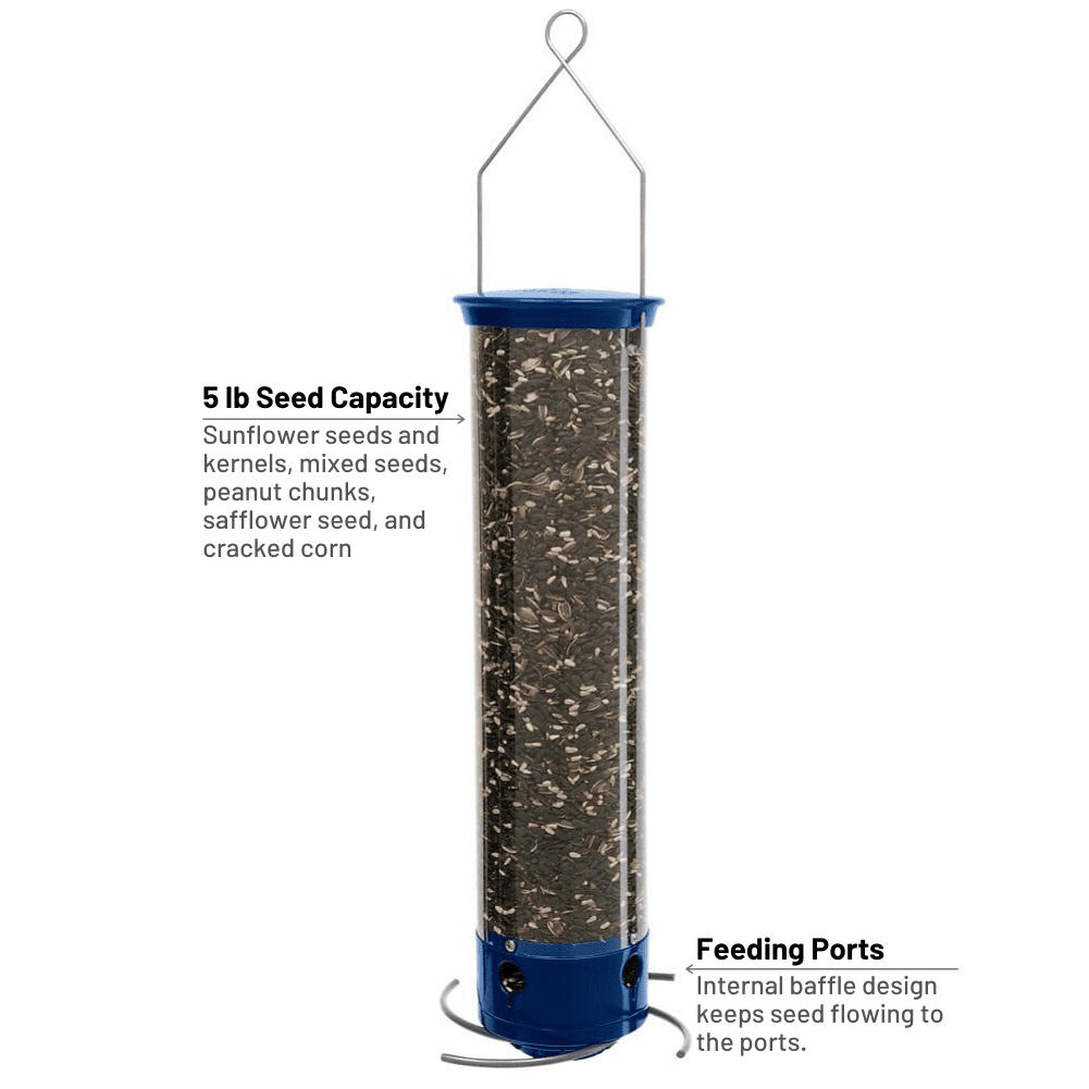 Droll Yankees Squirrel Proof Bird Feeders for Outdoors - Whipper, Collapsible Perches, 5-Pound Seed Capacity, Blue