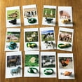 thumbnail image 3 of 12x Animals Match Cards Figure , Matching Puzzle Game,, 3 of 8