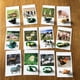 thumbnail image 3 of Tarjetas de combinación de animales Montessori - y tarjetas de animales de granja y aves de corral (12 piezas), Materiales Montessori Juguetes, 3 of 8
