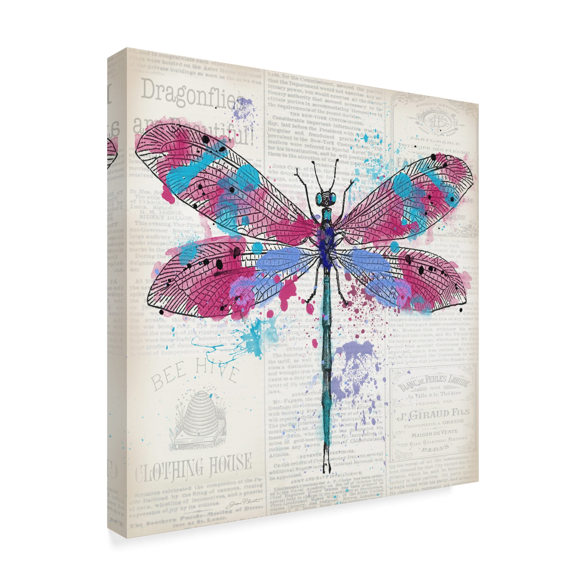 Trademark Fine Art 'Dragonfly On Newsprint 2' Canvas Art by Jean Plout