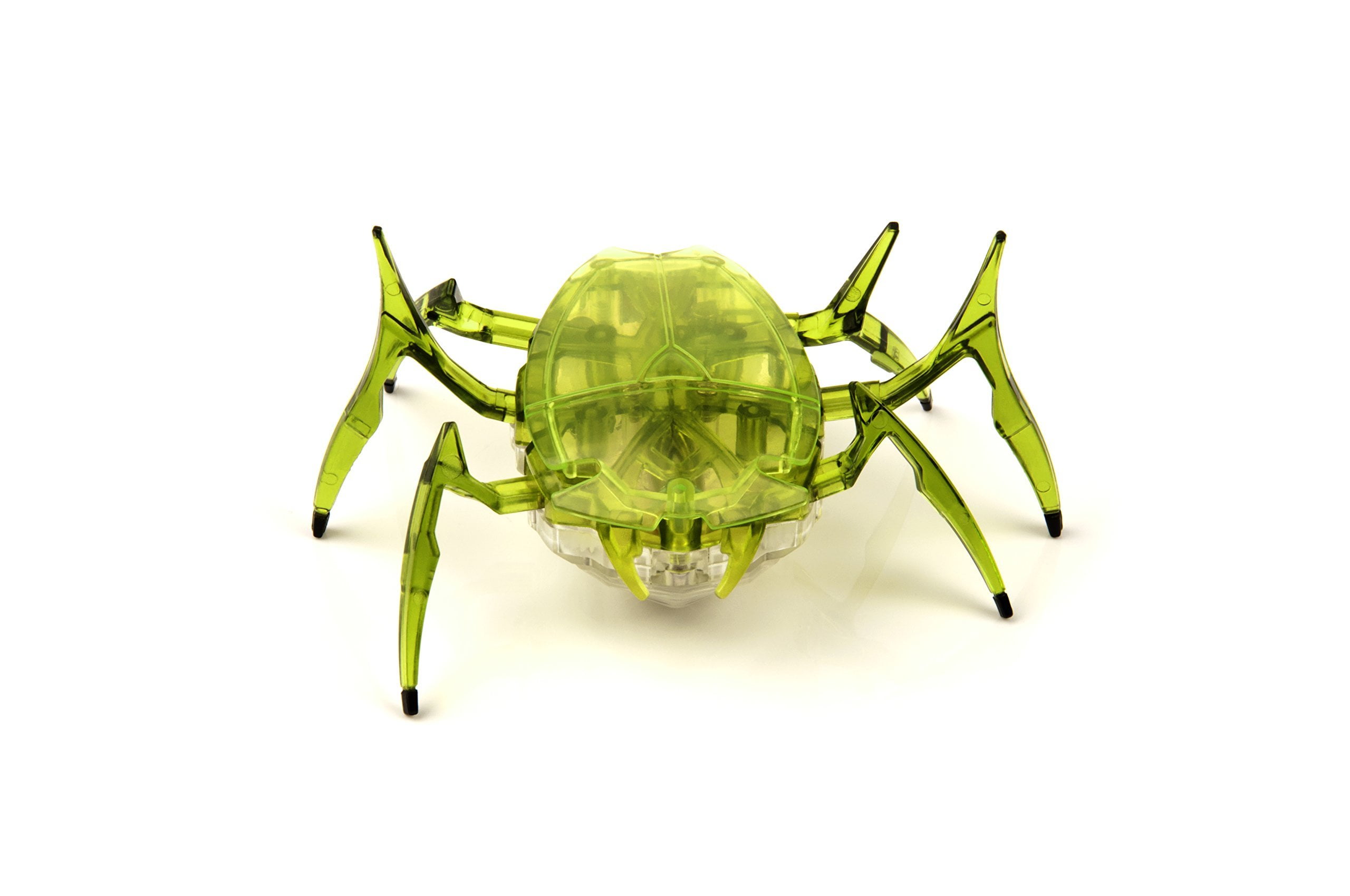 hexbug beetle scarab
