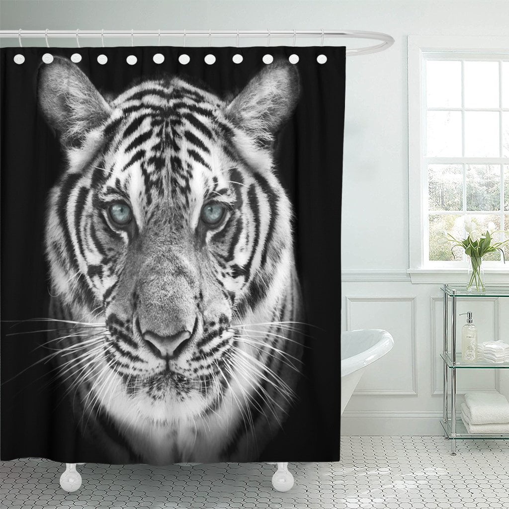 Cat Shower Curtain 60x72 Inches, Biggest Shower Curtain