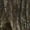 Realtree Legacy, variant on Avery Outdoors Men's Originals 3-in-1 Insulated Waterproof Wader Jacket