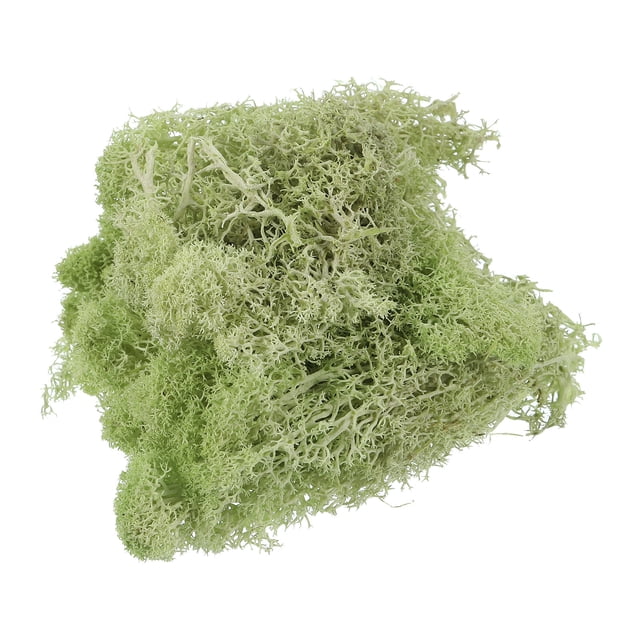 Unique Bargains 3.5 OZ Moss Preserved Moss Artificial Moss for Craft Floral Project Table Decor Light Yellow Green