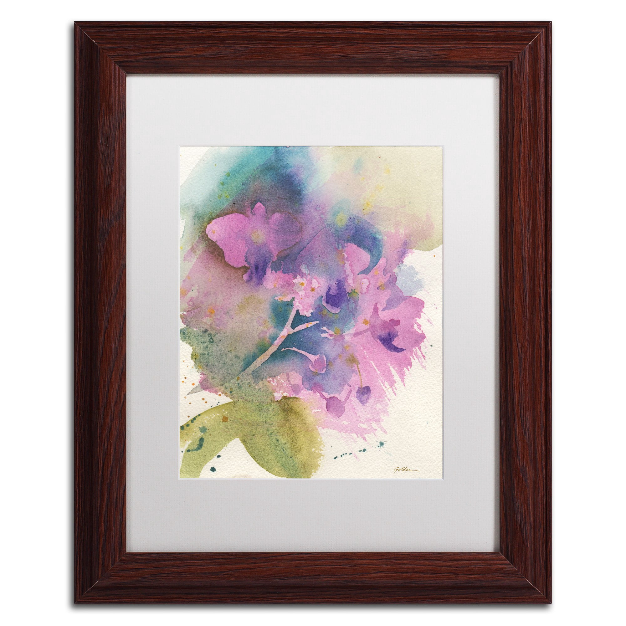 Trademark Fine Art "Orchid Dream" Canvas Art by Sheila Golden White Matte, Wood Frame