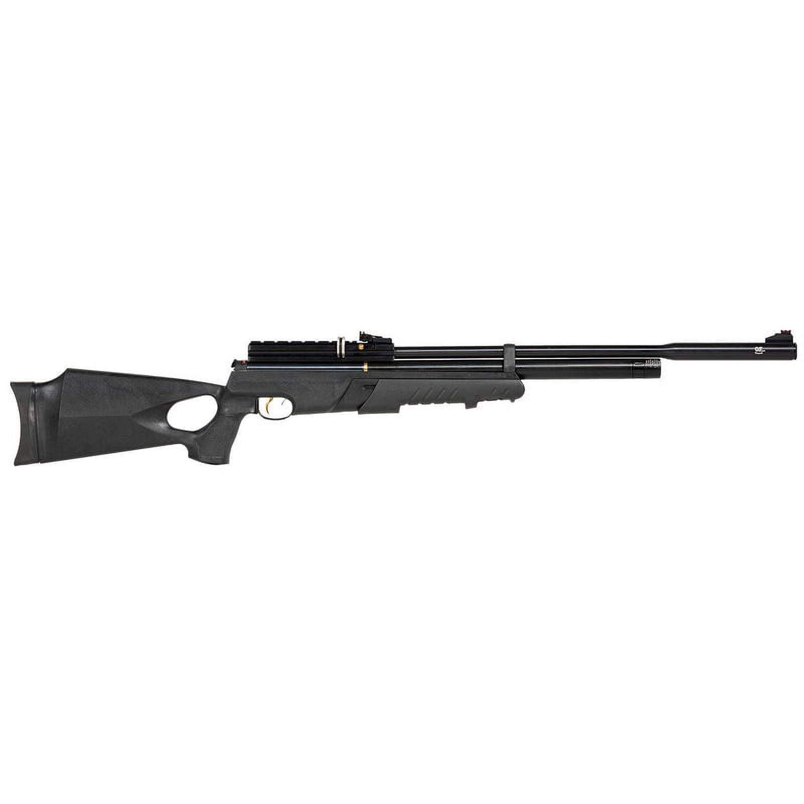 Hatsan AT44PA-10 Pump Action QES QuietEnergy .25 Caliber Air Rifle